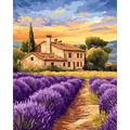 Lavender field in France | Paint by Number