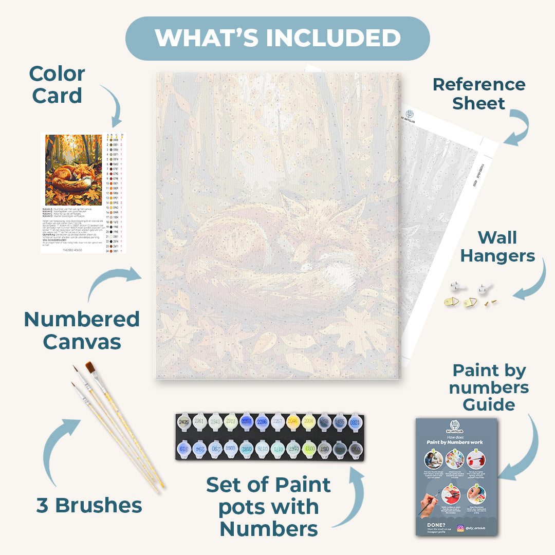 Sleeping Fox | Paint by Number