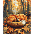 Sleeping Fox | Paint by Number