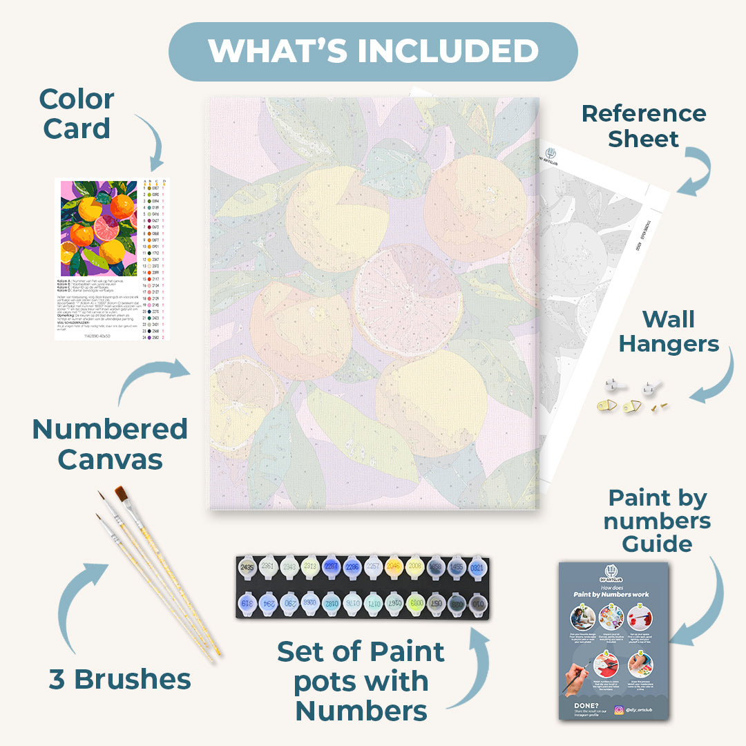 Colorful Citrus Fruits| Paint by Number