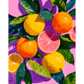 Colorful Citrus Fruits| Paint by Number