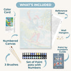 Santa Claus in Australia | Paint by Number