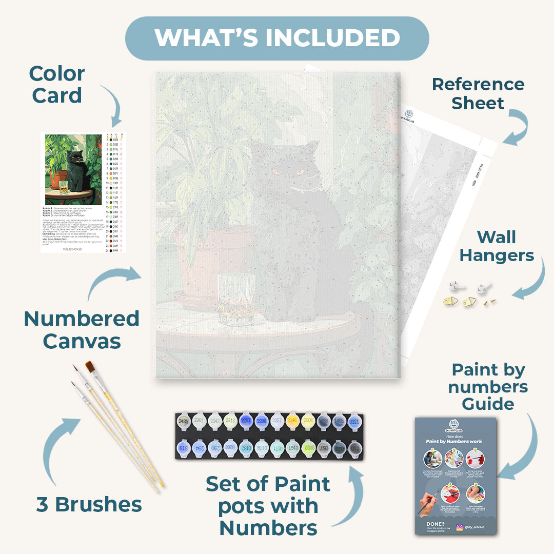 Grumpy cat | Paint by Number