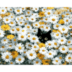 Cat in the daisy field | Paint by Number