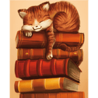 Sleeping Cat - By Vink