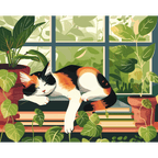 Peaceful sleep | Paint by Number