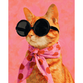 Stylish ginger cat | Paint by Number