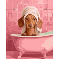 Dachshund in bath | Paint by Number