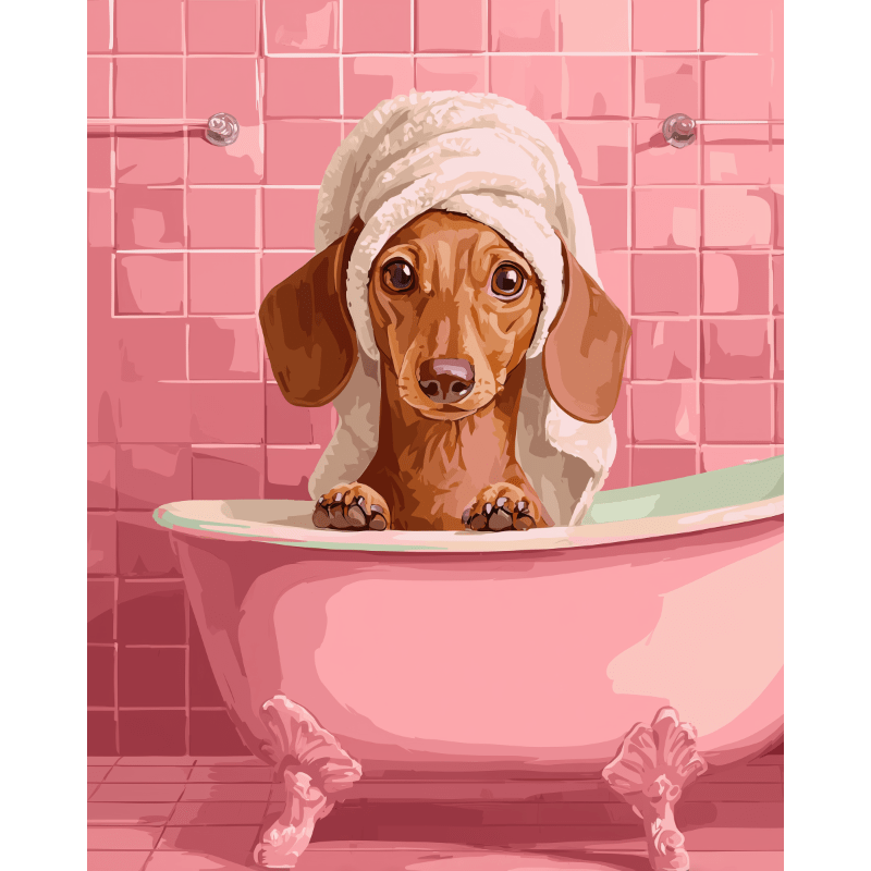 Dachshund in bath | Paint by Number