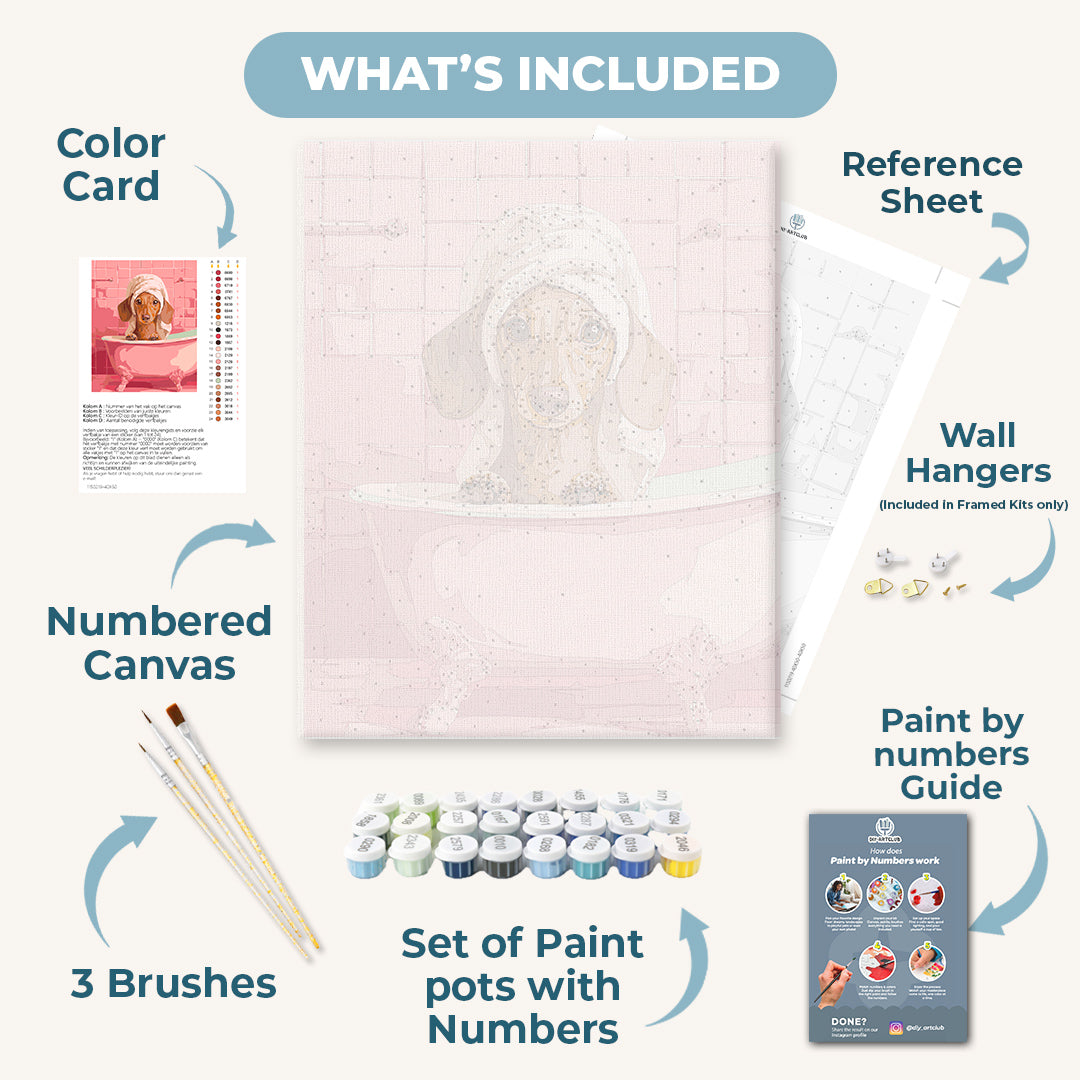 Dachshund in bath | Paint by Number
