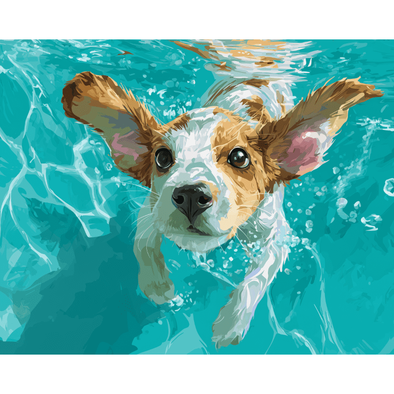 Underwater swimmer | Paint by Number