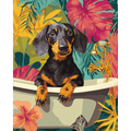 Tropical dachshund | Paint by Number