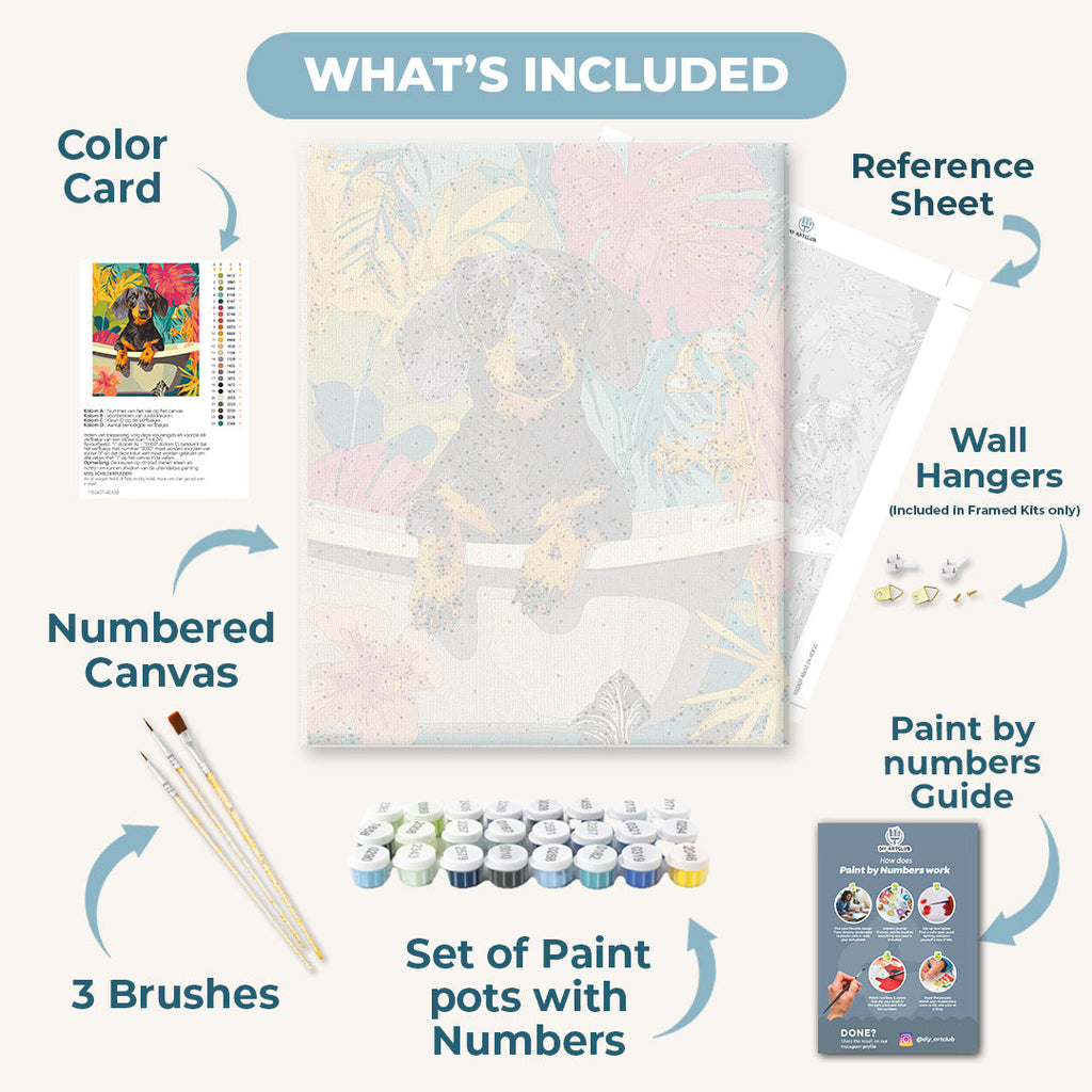 Tropical dachshund | Paint by Number