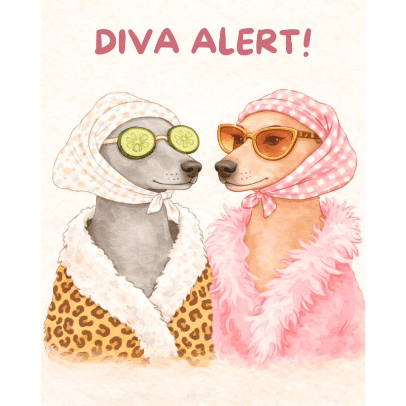 Diva Alert | Paint by Number