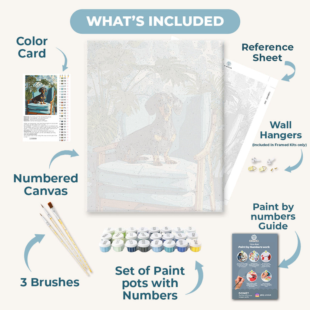 A posing Dachshund | Paint by Number