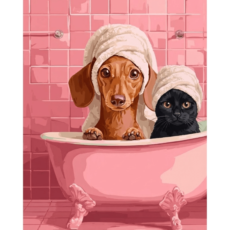 Dachshund & Cat in Bath | Paint by Number