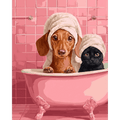 Dachshund & Cat in Bath | Paint by Number