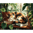 Sleeping Cat at the Window | Paint by Number