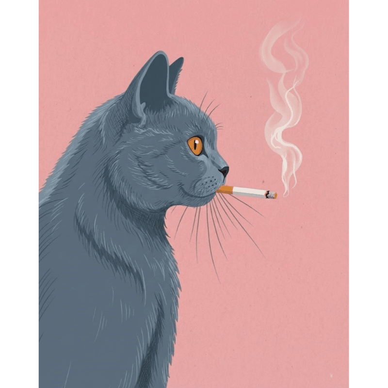 Smoking British Shorthair | Paint by Number