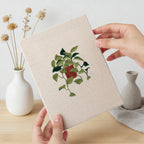 Potted Plants 14 | Mini Punch Needle Kit