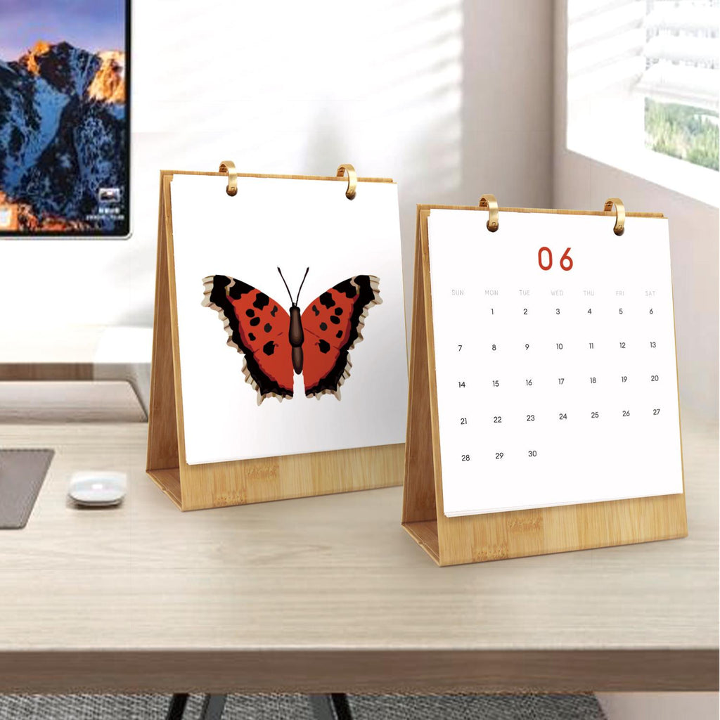 2026 Paint by Numbers desk Calendar | Butterfly Edition
