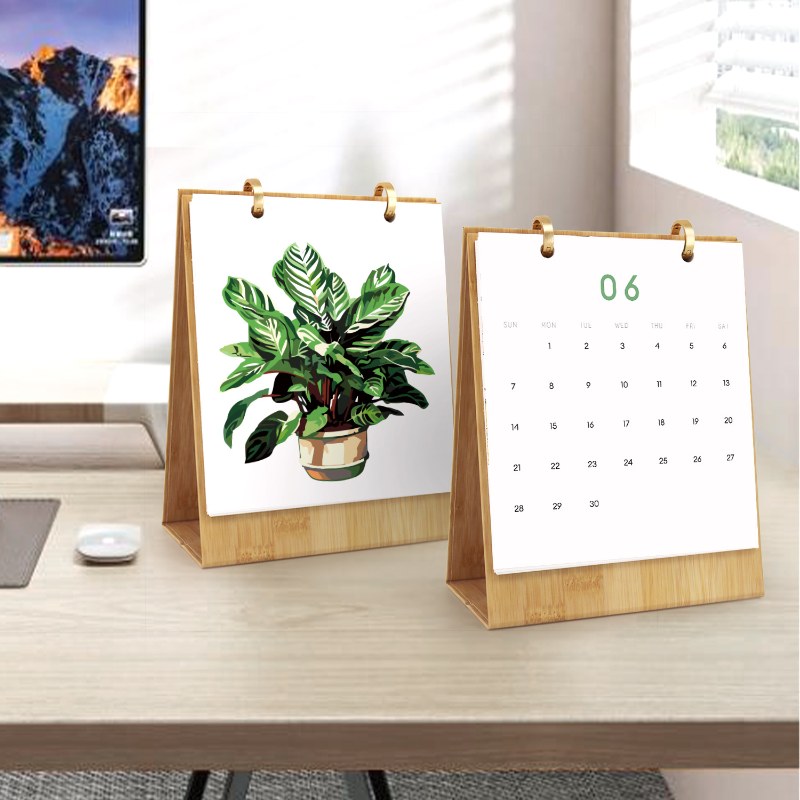 2026 Paint by Numbers desk Calendar | Plants Edition
