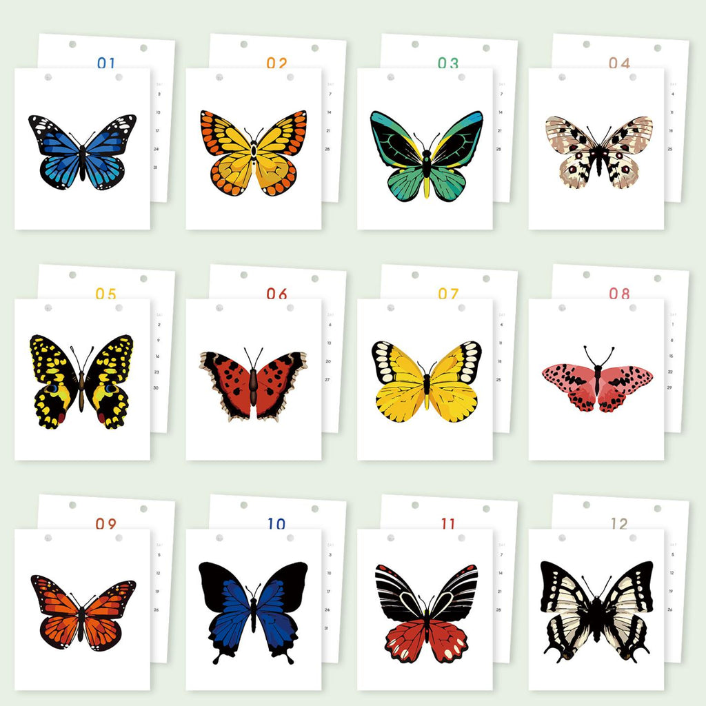 2026 Paint by Numbers desk Calendar | Butterfly Edition