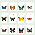 2026 Paint by Numbers desk Calendar | Butterfly Edition