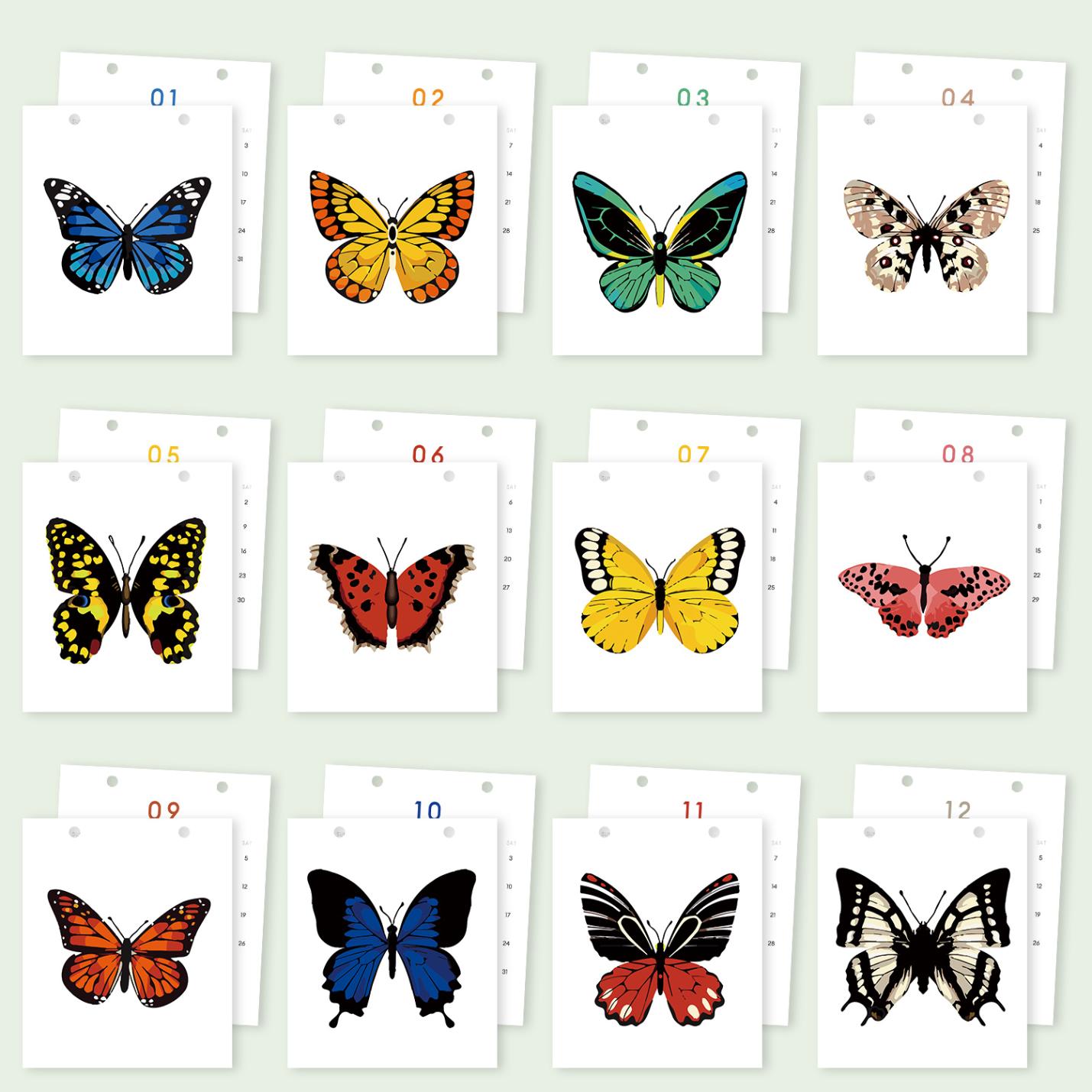 2026 Paint by Numbers desk Calendar | Butterfly Edition
