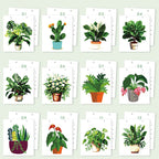 2026 Paint by Numbers desk Calendar | Plants Edition