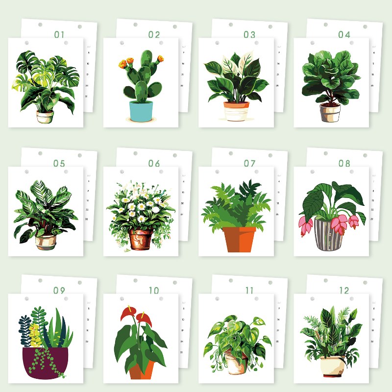 2026 Paint by Numbers desk Calendar | Plants Edition