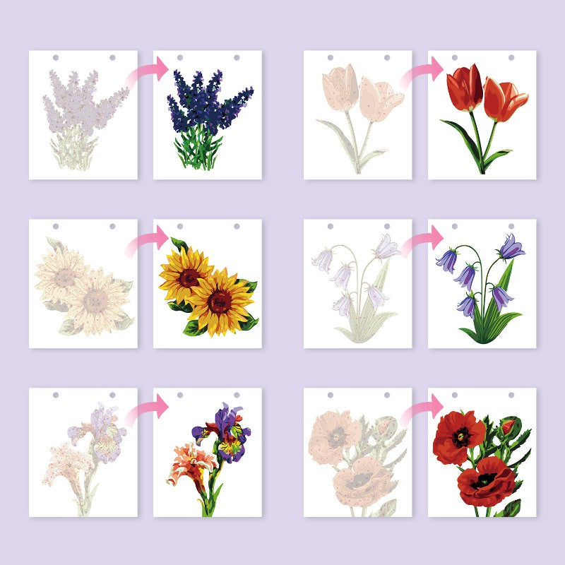 2026 Paint by Numbers desk Calendar | Flowers Edition