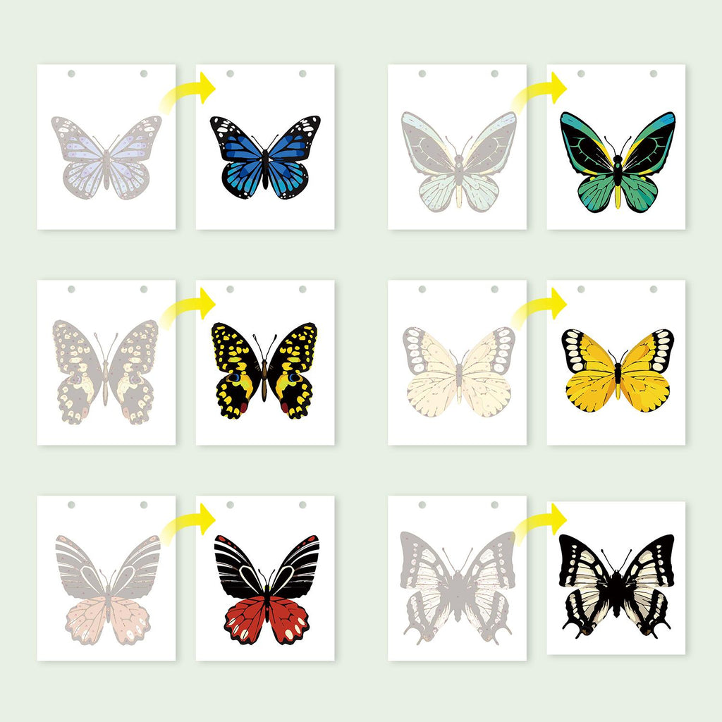 2026 Paint by Numbers desk Calendar | Butterfly Edition