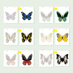 2026 Paint by Numbers desk Calendar | Butterfly Edition