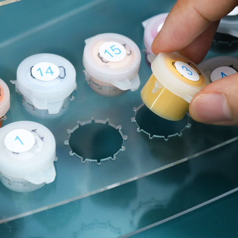 Paint & Brush Holder for Paint by Numbers