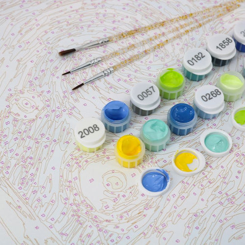 2 Surprise Paintings | Paint by Numbers