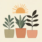 Mini Paint by Number with Frame - 3 Plants