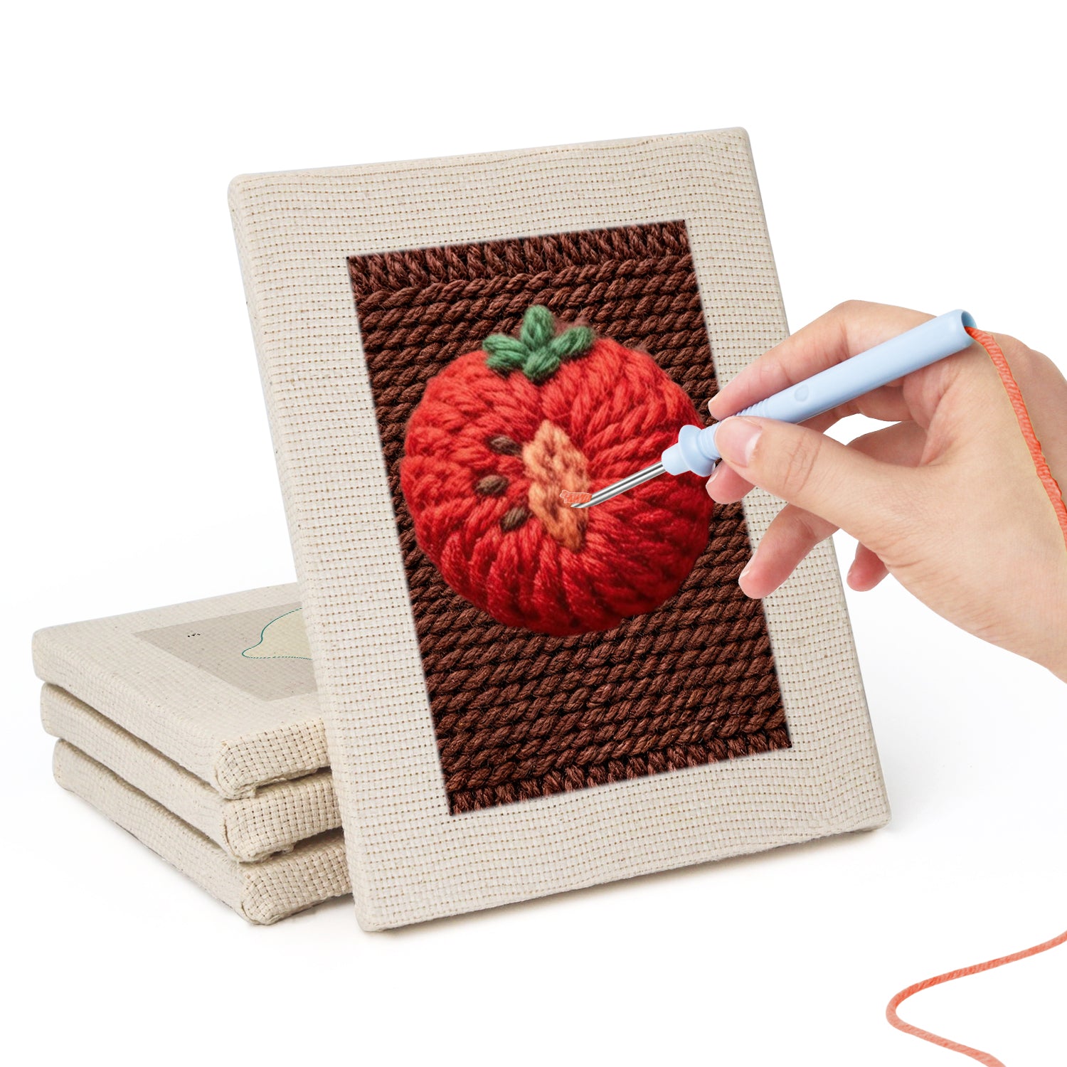 Fruits & Vegetables 17 | Mini Punch Needle Kit