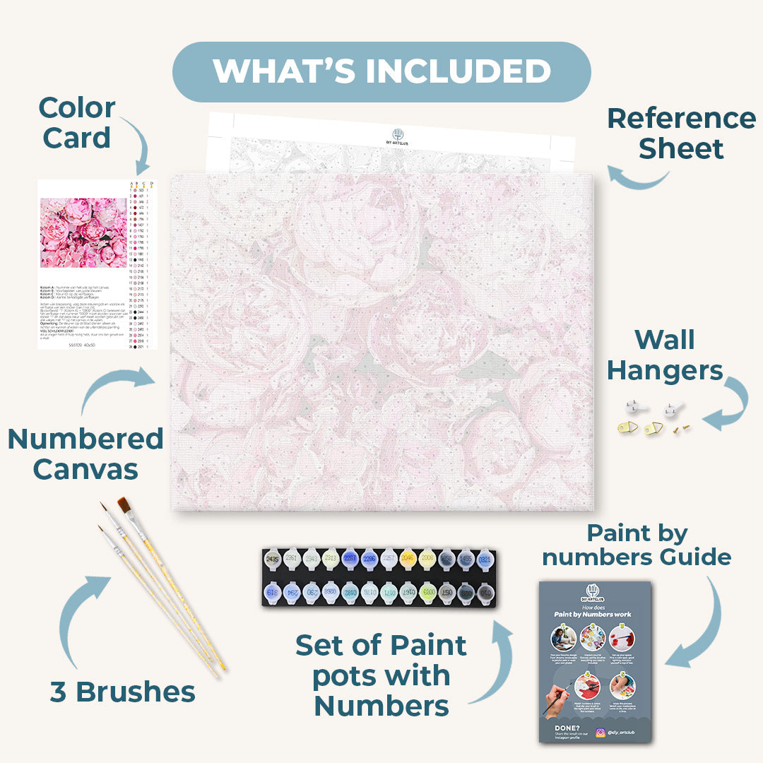 Pink Peonies Background | Paint by Numbers