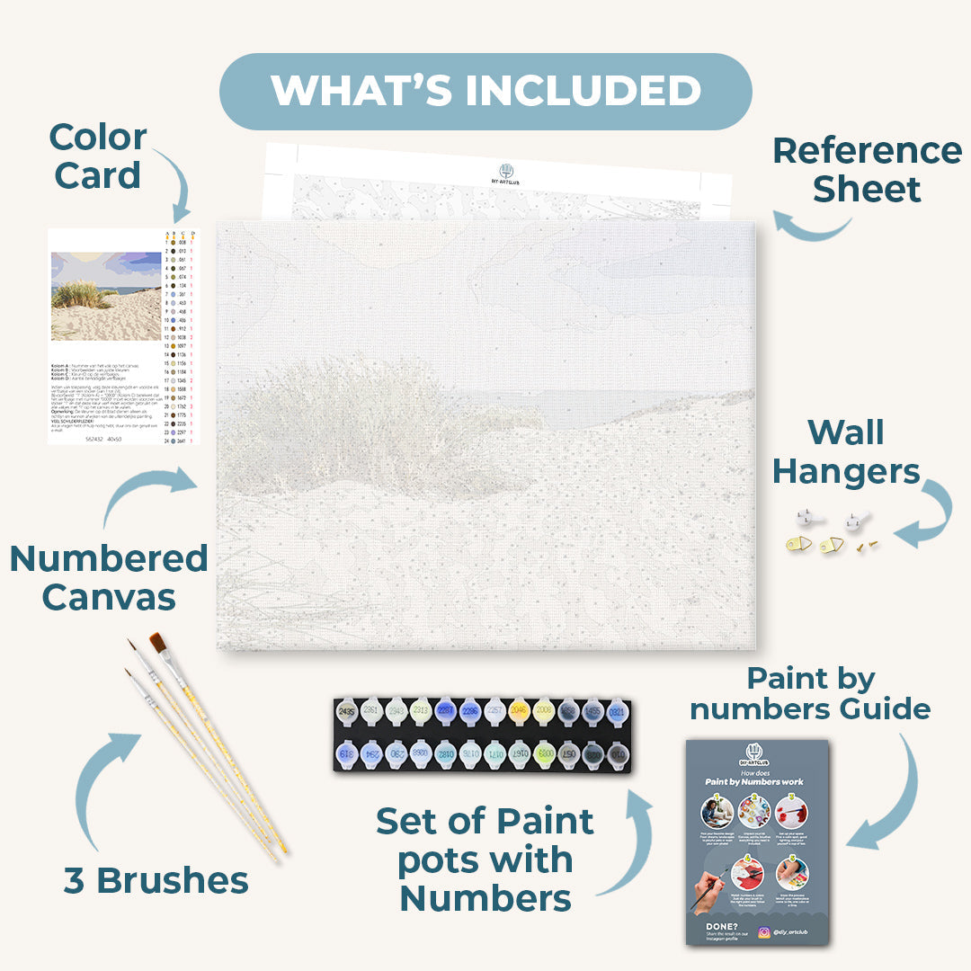 Dunes on the Sandy Beach of the Baltic Sea | Paint by Numbers