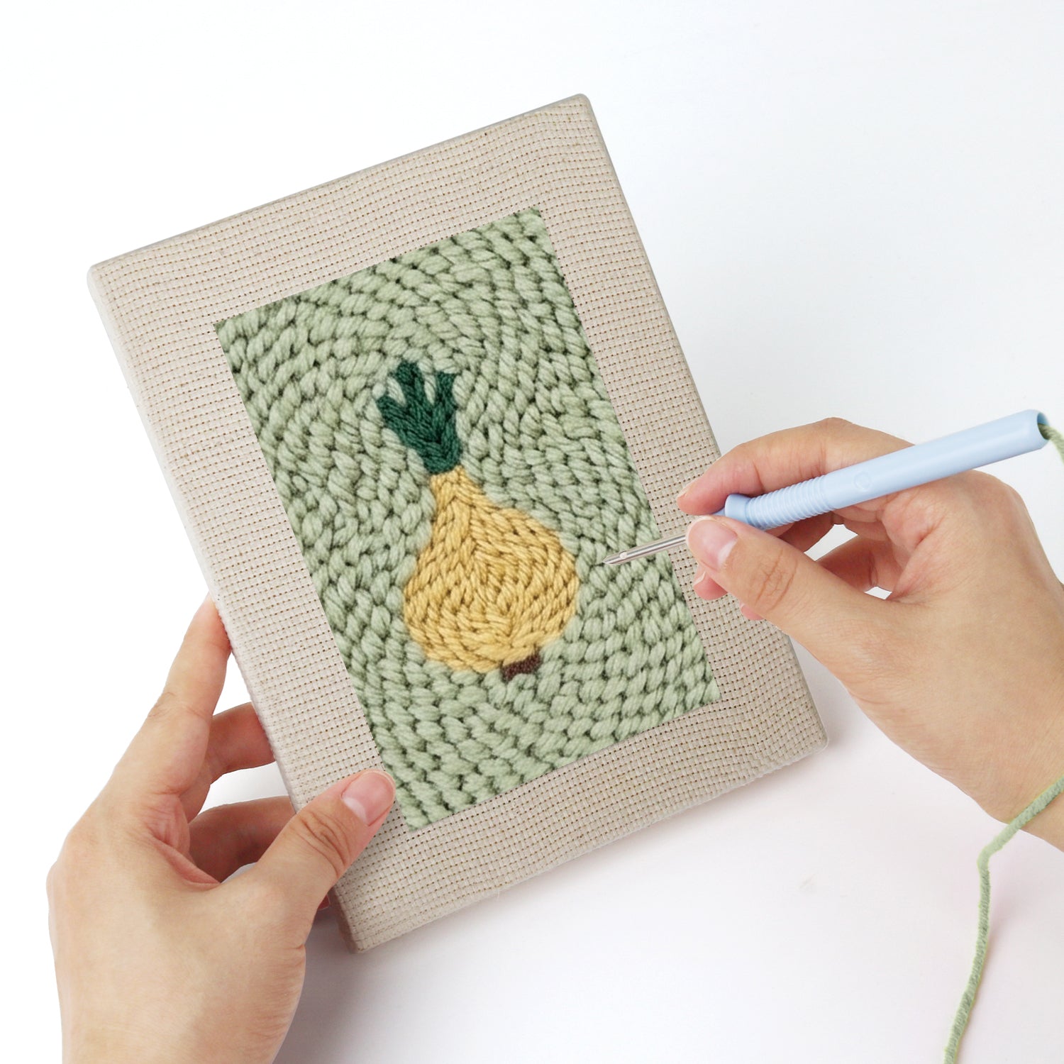 Fruits & Vegetables 36 | Mini Punch Needle Kit