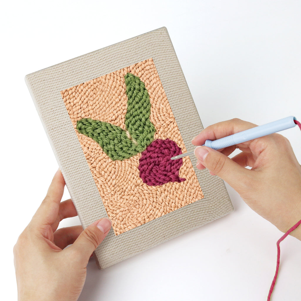 Fruits & Vegetables 20 | Mini Punch Needle Kit