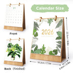 2026 Paint by Numbers desk Calendar | Plants Edition