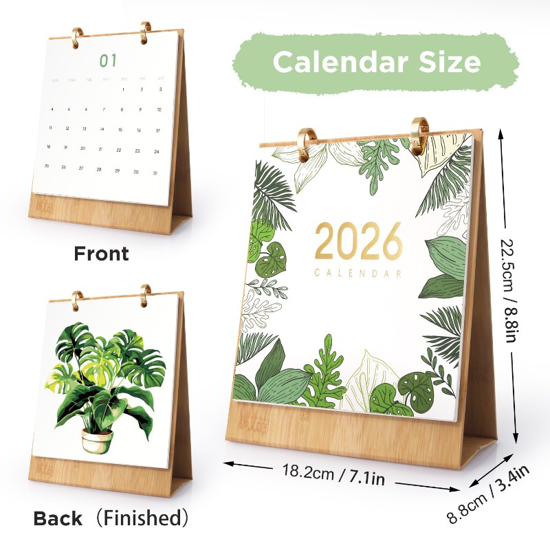 2026 Paint by Numbers desk Calendar | Plants Edition