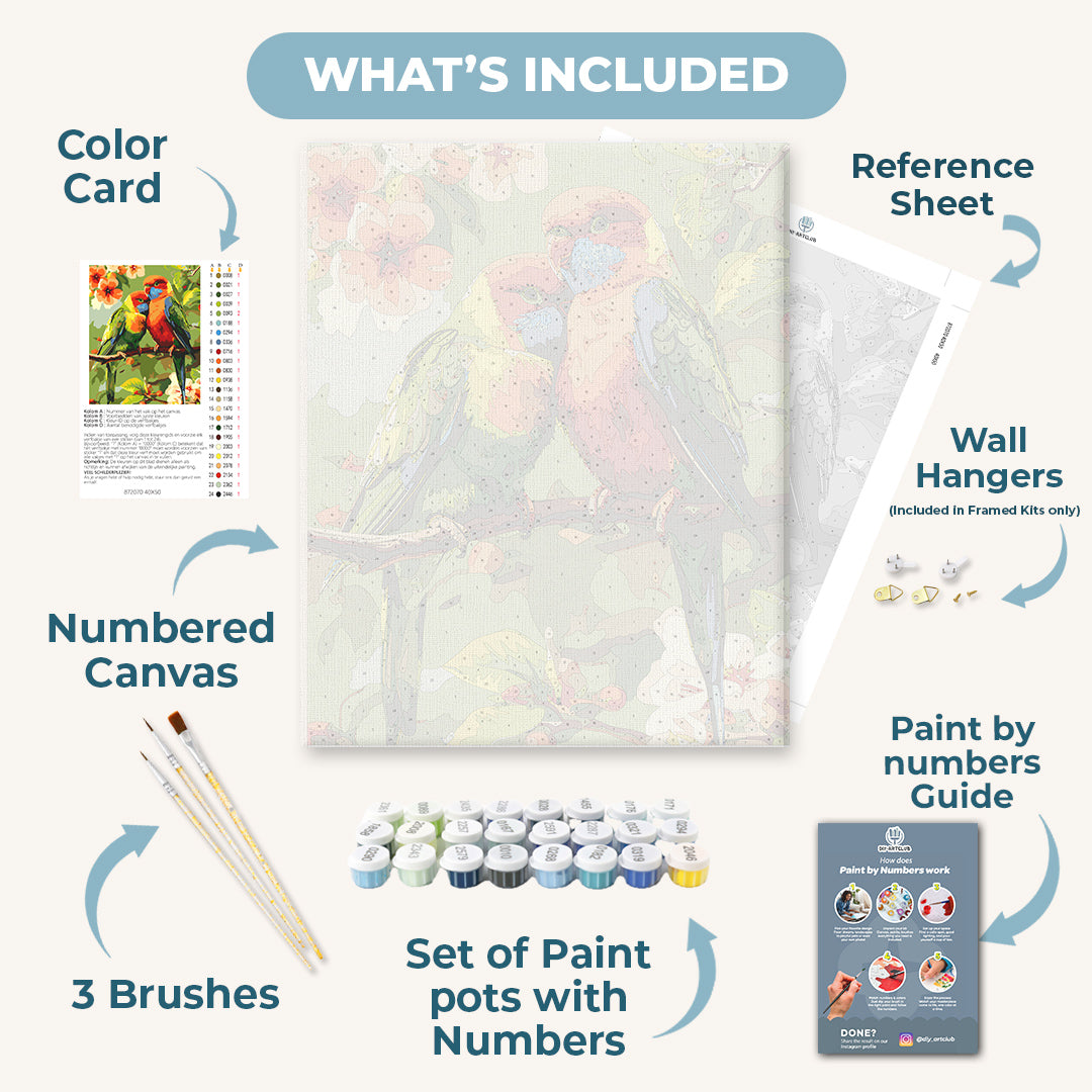 2 Colorful Birds | Paint by Numbers