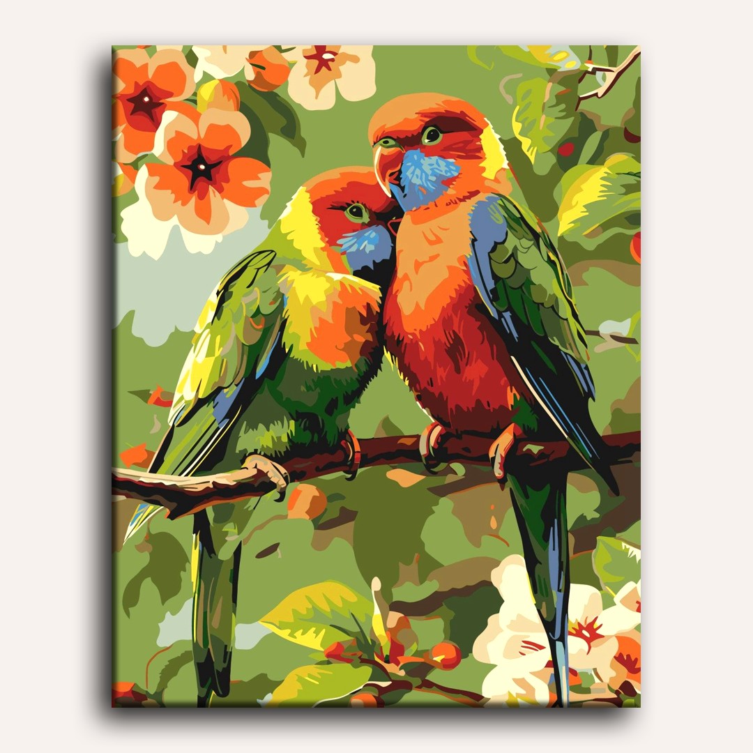 2 Colorful Birds | Paint by Numbers