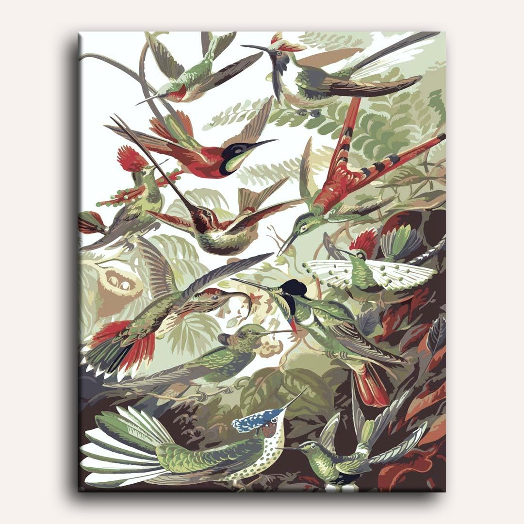 Hummingbirds Trochilidae by Ernst Haeckel | Paint by Numbers