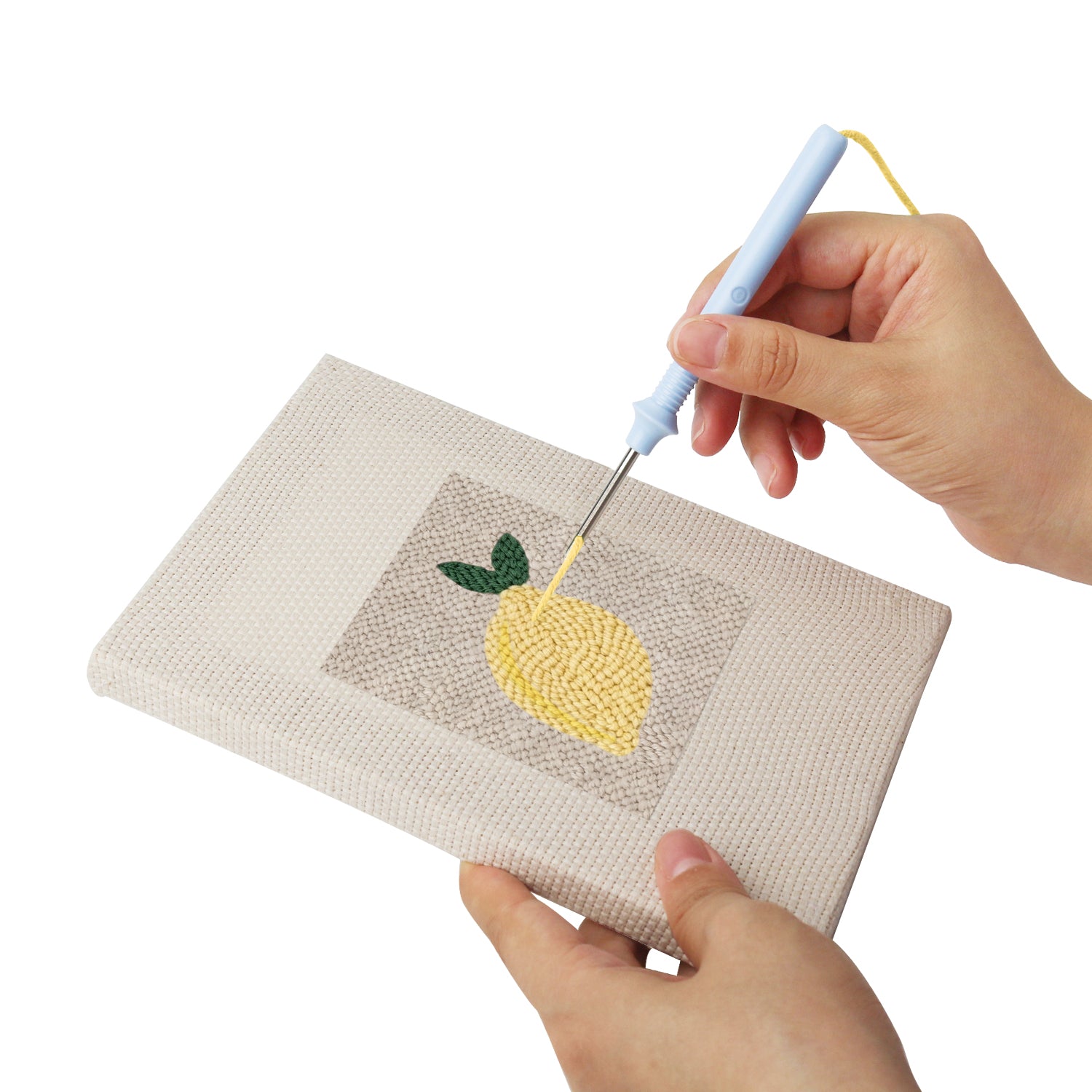 Fruits & Vegetables 27 | Mini Punch Needle Kit