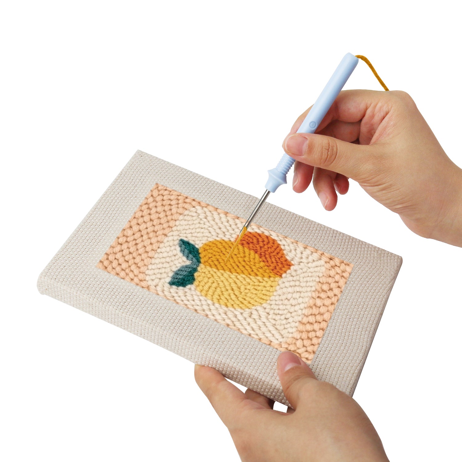 Fruits & Vegetables 35 | Mini Punch Needle Kit