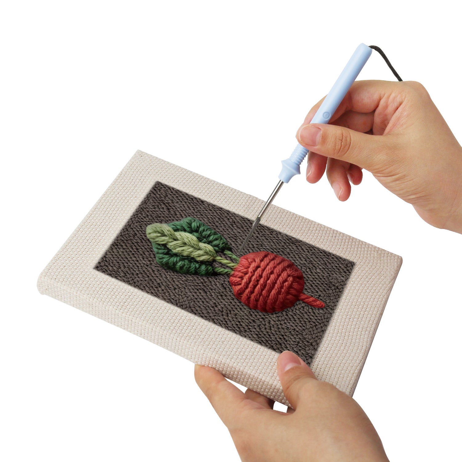 Fruits & Vegetables 18 | Mini Punch Needle Kit